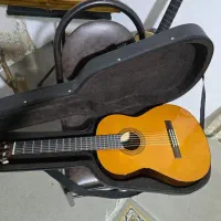 گیتار C40 نو با هارد کیس