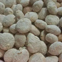 کشک گوسفندی