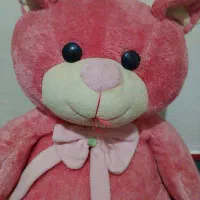 عروسک صورتی