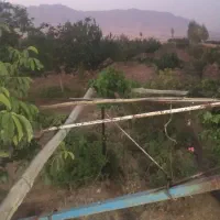 فروش یا معاوضه باغ میوه|فروش دفتر صنعتی، کشاورزی، تجاری|شازند, |دیوار