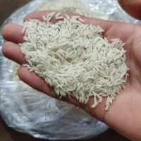 برنج هاشمی محلی