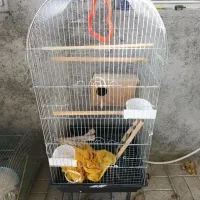 قفس پرنده بزرگ