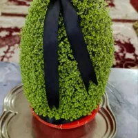 انواع سبزه برای هرمراسمی|گل و گیاه طبیعی|صحنه, |دیوار