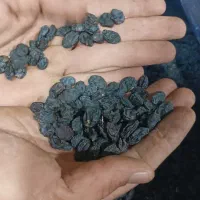 مویز ترکمن4 ممتاز،محصول باغات تاکستان،|عمدهفروشی|تاکستان, |دیوار