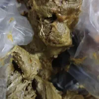 عسل درجه یک ژل رویال اصل بره موم گرده گل|خوردنی و آشامیدنی|کرمانشاه, |دیوار