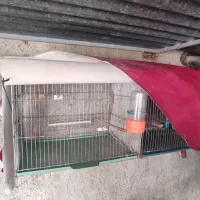 قفس پرون همراه با کاور ضد سرما