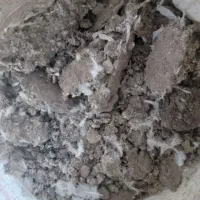 زله کبوتره خوش درکبوتراهنگ