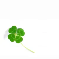 اجاره  منزل مسکونی