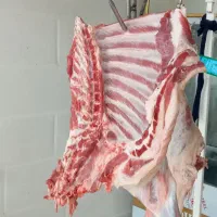 گوشت کهره سناتوری