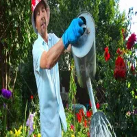 سرایدار باغ