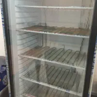 فریزر ایستاده نو یک ماه کارکرد|کافی‌شاپ و رستوران|محمودآباد, |دیوار