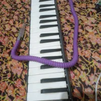 سازمولودیکامدل سوزوکی