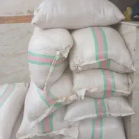 سبوس برنج،سوب،شیردوش گاو دستی با لوازم کامل،گاو