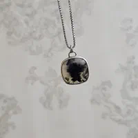 گردنی شجر نقره