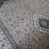 فرش ۱۲متری کرم|فرش|شیروان (خراسان), |دیوار