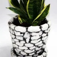 گلدان سیمانی بازیره عمده تک