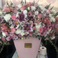 باکس گل