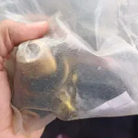 شیر مخزن گاز cng