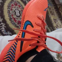 استوک سالنی