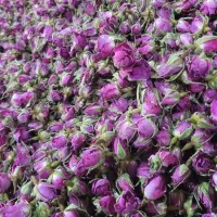 استخدام متخصص طب سنتی  برای طبابت در مغازه عطاری