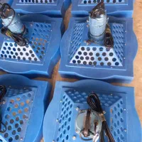 بچه ماهی کپور طلایی اصلاح شده و تجهیزات شیلات|ماهی|قم, انسجام|دیوار