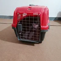 باکس حمل گربه و سگ