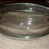 مرغ خوری ترک و خرد کن