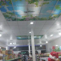 سیم کشی ساختمان|خدمات پیشه و مهارت|سلماس, |دیوار