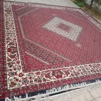 فرش|فرش|زنجان, |دیوار