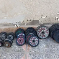 وزنه های هالتر  ودمبل