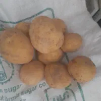 سیب زمینی درجه یک کیلویی ۳۰ تومن دست شده