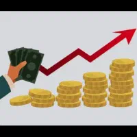 نیازمند همکاری باضامن