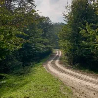 گردشگری|تور و چارتر|بابل, |دیوار