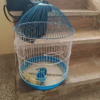 قفس پرنده