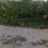 باغچه الوان 500متری|فروش زمین و ملک کلنگی|نوشین شهر, |دیوار