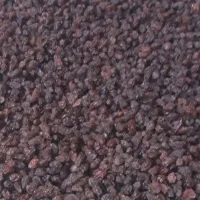 ۱۷کیلوکشمش فخری درجه یک دمگیری وبدون حتی یک خرابی