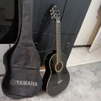 گیتار سالم به شرط