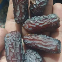 فروش خرما پیارم