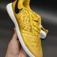 نایک لونارگتو فوتسالی|کیف، کفش، کمربند|اردبیل, |دیوار