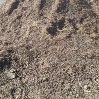 پهن گوسفندی|خدمات باغبانی و درختکاری|ترکمانچای, |دیوار