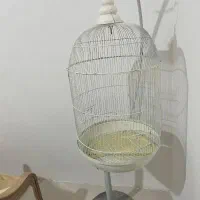 قفس عروس هلندی