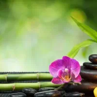 انواع ومتددهای جدید ماساژ زیر نظر استاد حرفه ایی