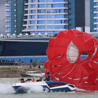 عکاس یا فروشنده در متلقو