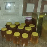 مقدار چند کیلو عسل گون  درجه یک به شرط تست|خوردنی و آشامیدنی|اصفهان, سپاهان‌شهر|دیوار