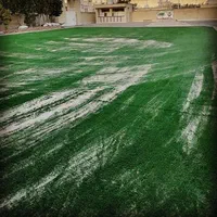 چمن مصنوعی برای مدرسه زمین های بازی فوتبال والیبال|خدمات باغبانی و درختکاری|اندیشه, |دیوار