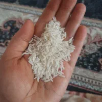 برنج دم سیاه