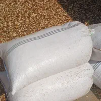 خریدار پسته زردوکمر آبی پوک