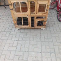 قفس پرنده