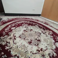 آگهی مربوط به عکسها