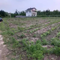 زمین باغی با مجوز گلخانه آب برق گاز